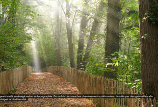 Une allée ensoleillée dans le parc du Rigeard.