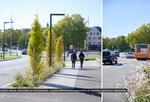La place Morard apaisé et végétalisé.