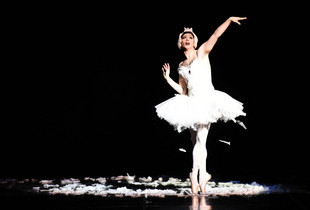 Ballets Trockadéro de Monte Carlo - Danse au Théâtre de Chartres