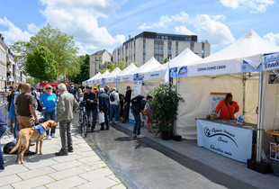 Les stands et le public de la journée de l'animal, place des Épars à Chartres