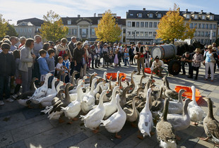 Fête des vendanges 2024 - Commune libre de Saint-Brice