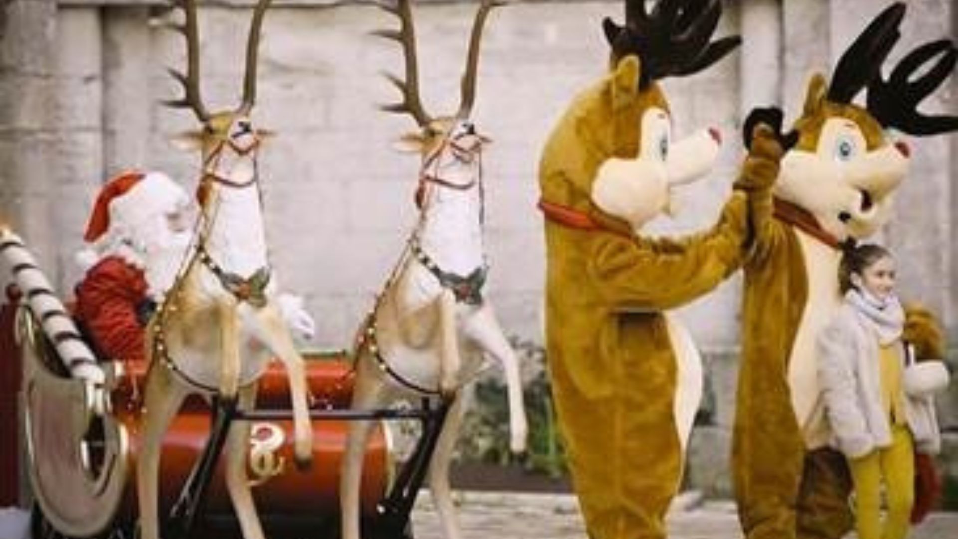 Le père Noël et les rennes de la parade de Noel