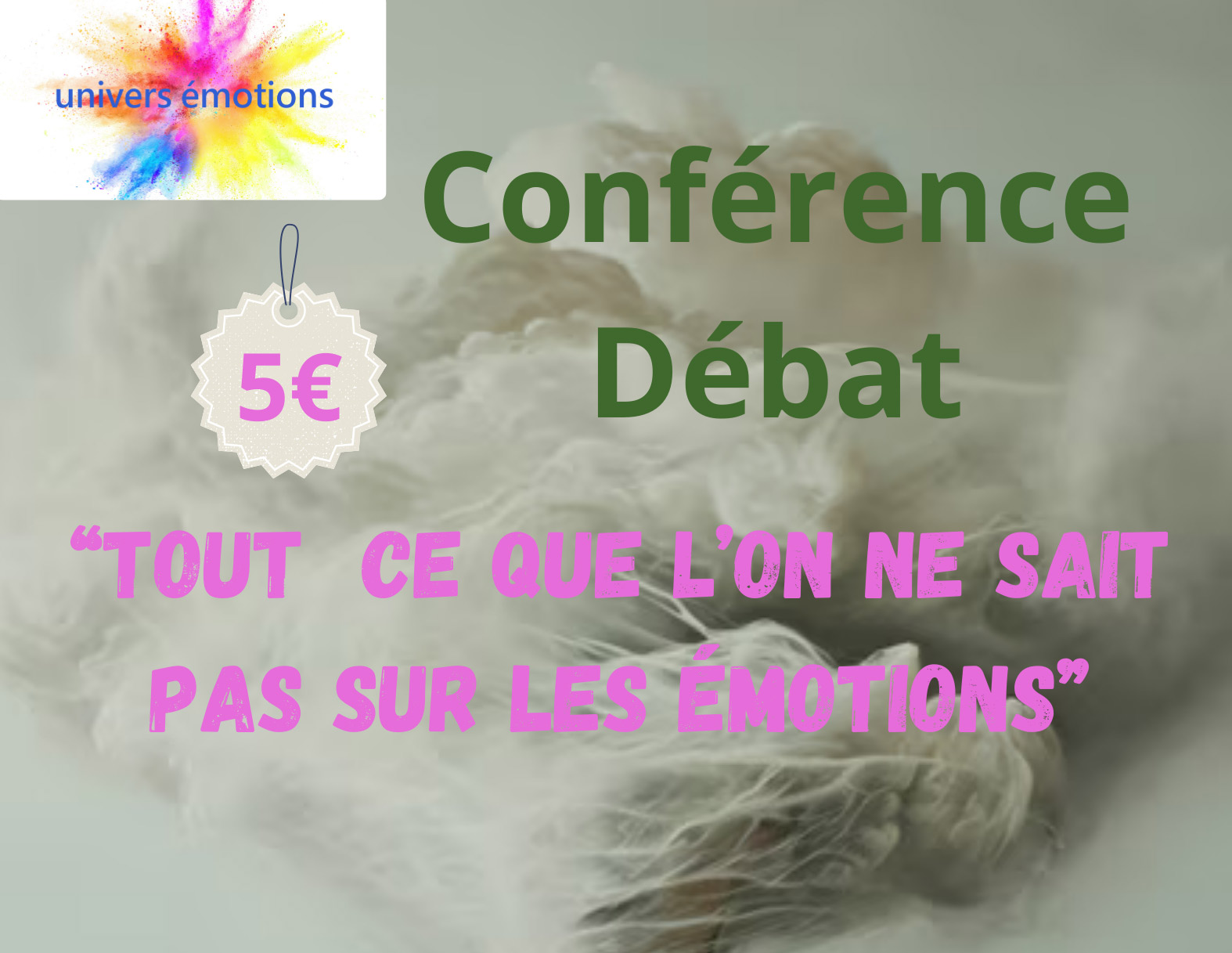 Tout ce que l'on ne sait pas sur les émotions - Conférence-débat de l'association Univers Emotions