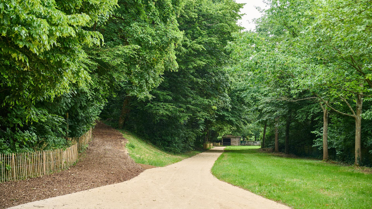 allée d'arbres dans le parc du Rigeard