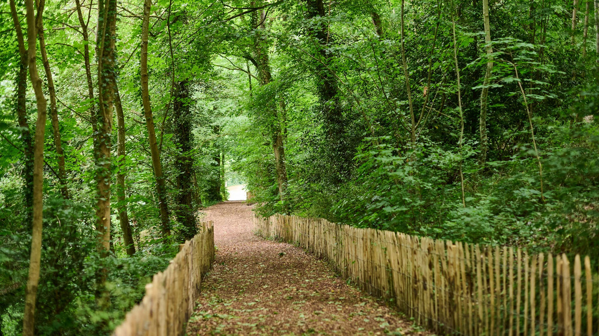 sous-bois dans le parc du Rigeard